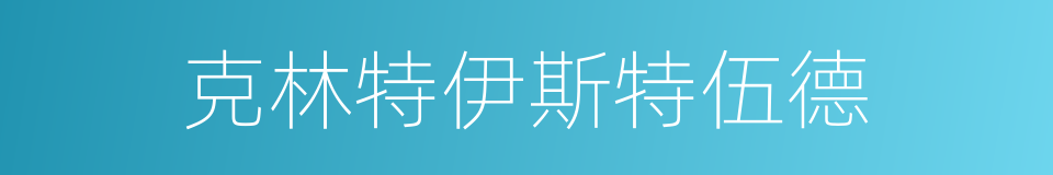 克林特伊斯特伍德的同义词