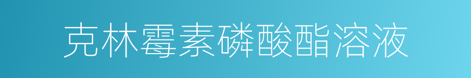 克林霉素磷酸酯溶液的同义词