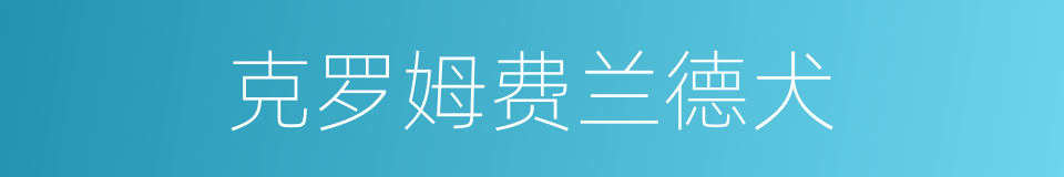 克罗姆费兰德犬的同义词