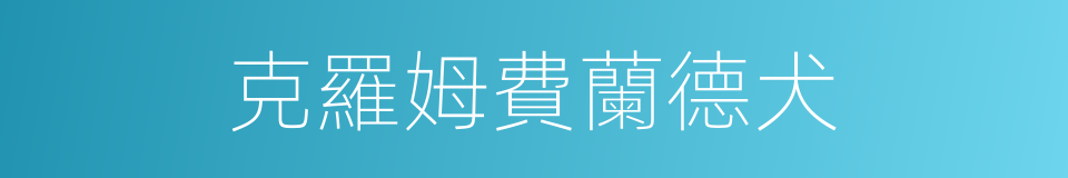 克羅姆費蘭德犬的同義詞