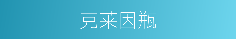 克莱因瓶的意思