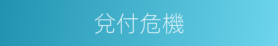 兌付危機的同義詞