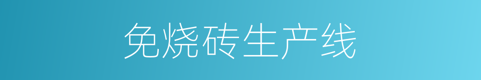 免烧砖生产线的同义词