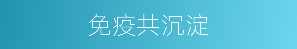 免疫共沉淀的同义词