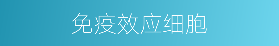 免疫效应细胞的同义词