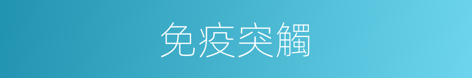 免疫突觸的同義詞