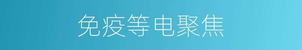 免疫等电聚焦的同义词