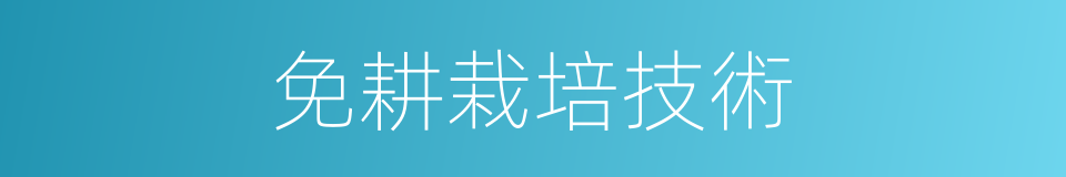 免耕栽培技術的同義詞