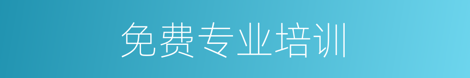 免费专业培训的同义词
