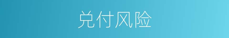 兑付风险的同义词