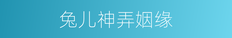 兔儿神弄姻缘的同义词