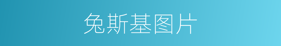 兔斯基图片的同义词