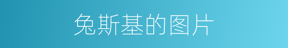 兔斯基的图片的同义词