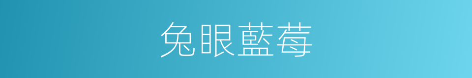 兔眼藍莓的同義詞