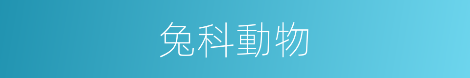 兔科動物的同義詞