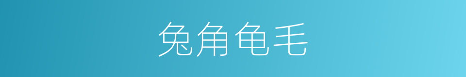兔角龟毛的意思