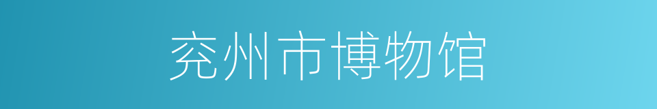 兖州市博物馆的同义词