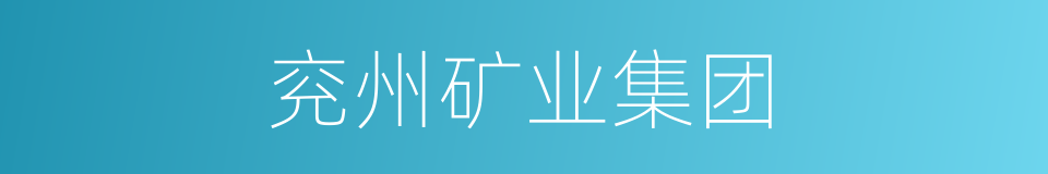 兖州矿业集团的同义词