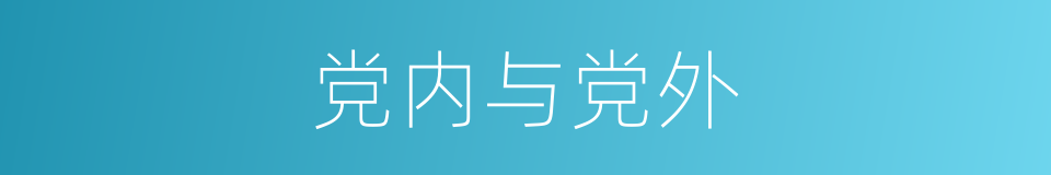 党内与党外的同义词