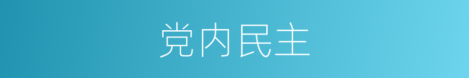 党内民主的同义词