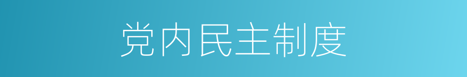 党内民主制度的同义词