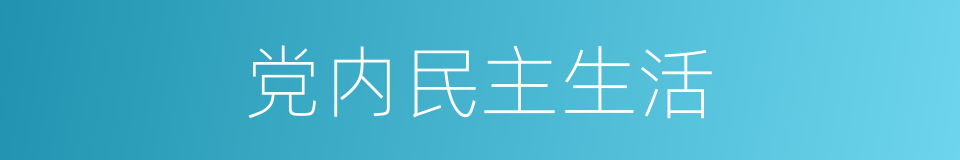 党内民主生活的同义词