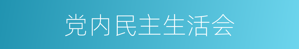 党内民主生活会的同义词