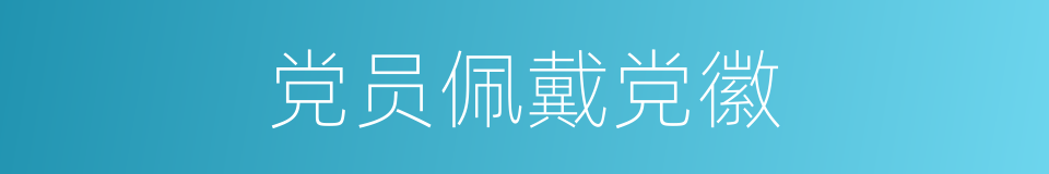 党员佩戴党徽的同义词
