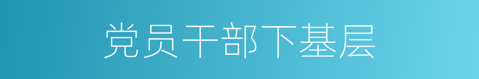 党员干部下基层的同义词