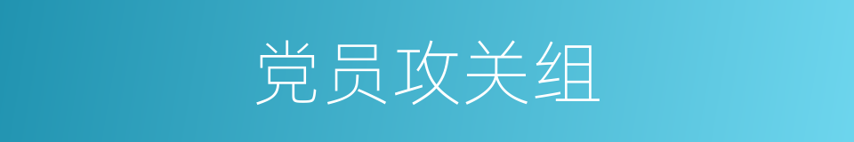 党员攻关组的同义词