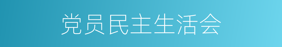 党员民主生活会的同义词