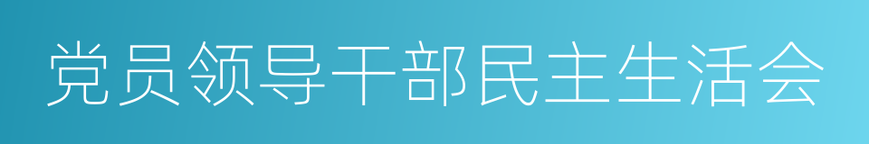 党员领导干部民主生活会的同义词