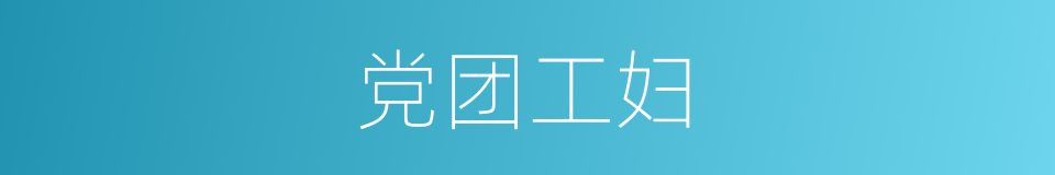 党团工妇的同义词