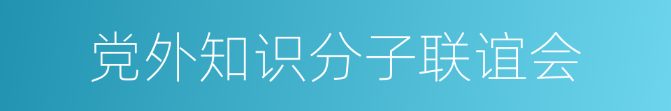 党外知识分子联谊会的同义词