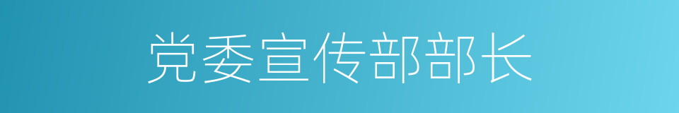 党委宣传部部长的同义词