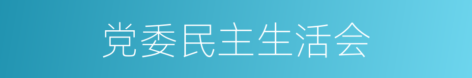 党委民主生活会的同义词