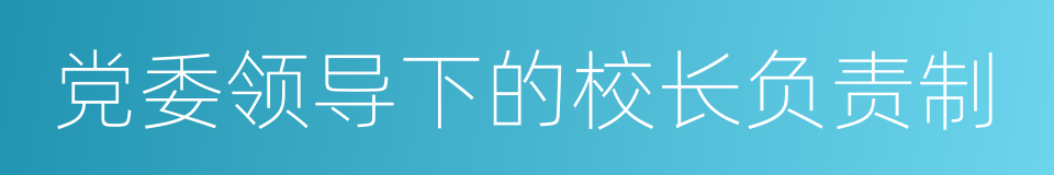 党委领导下的校长负责制的同义词