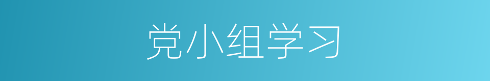 党小组学习的同义词