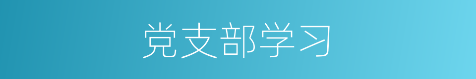 党支部学习的同义词