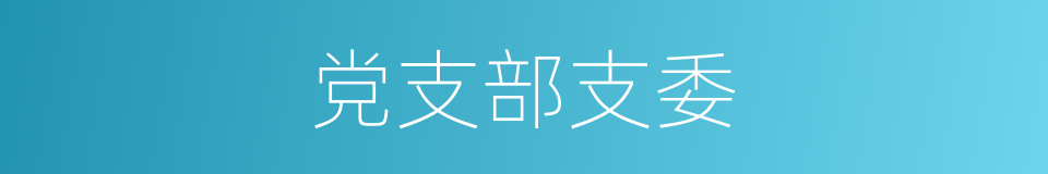 党支部支委的同义词