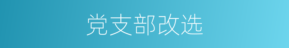 党支部改选的同义词