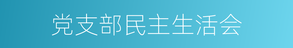 党支部民主生活会的同义词