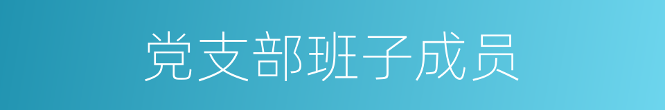 党支部班子成员的同义词