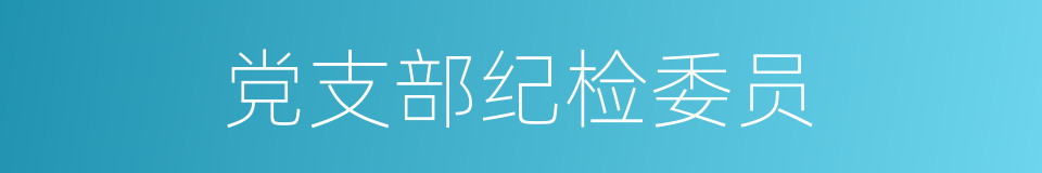 党支部纪检委员的同义词