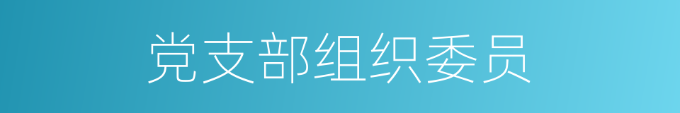 党支部组织委员的同义词