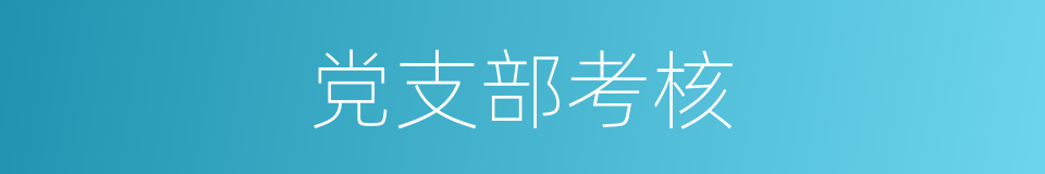 党支部考核的同义词