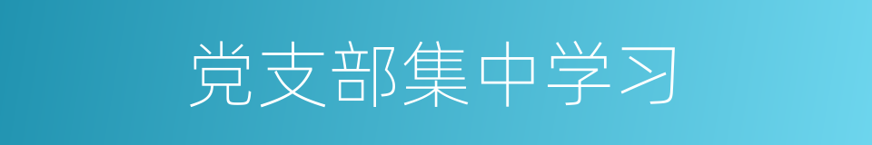 党支部集中学习的同义词