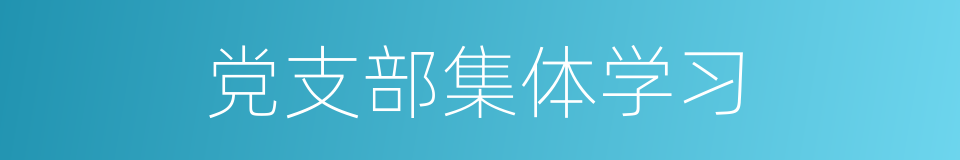 党支部集体学习的同义词