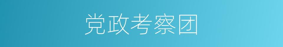党政考察团的同义词