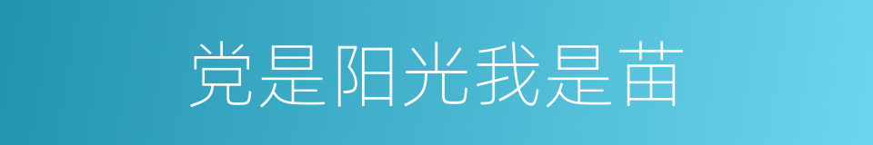 党是阳光我是苗的同义词